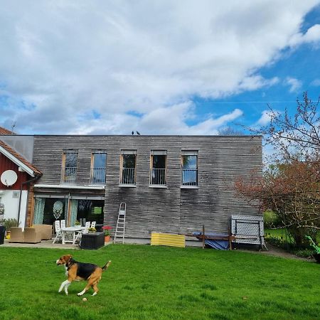 Appartement Hard Bodensee 외부 사진